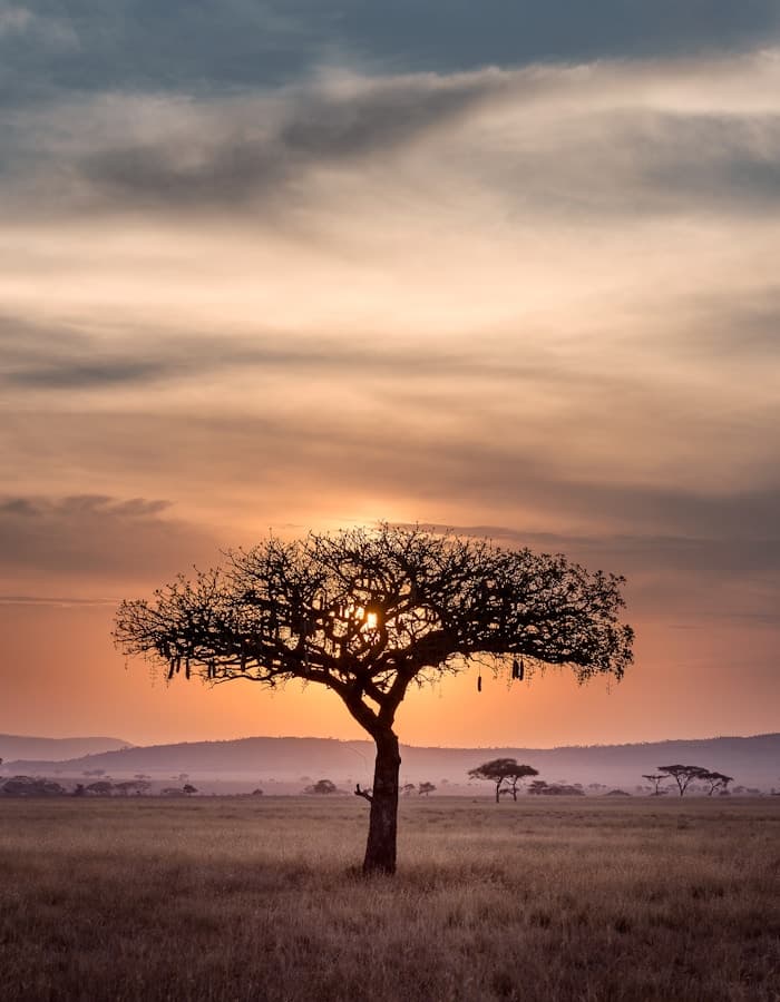 Nairobi, Kenya